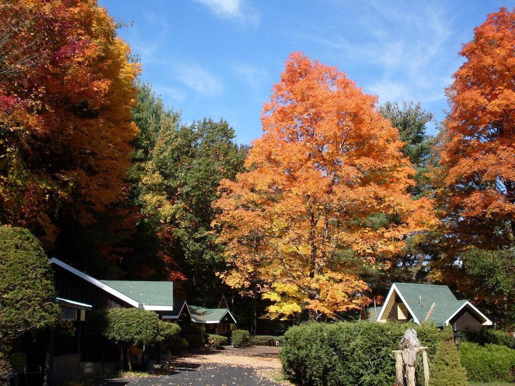 Amber Lantern Duplex Cottage Lake George Room photo